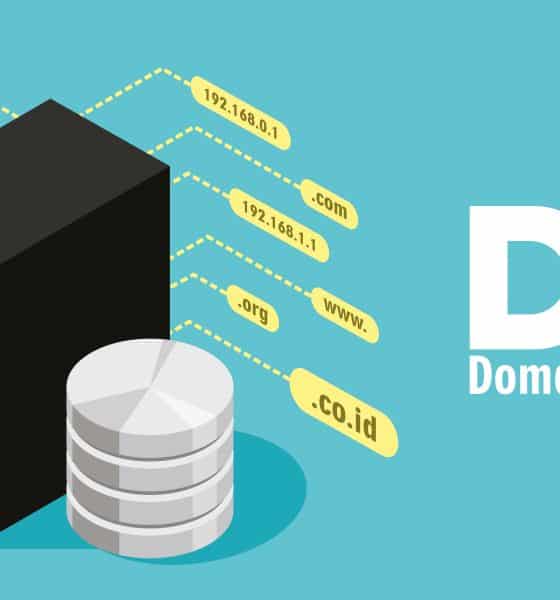 dns domain name system