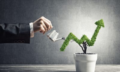 business growth