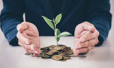 business value plant growing