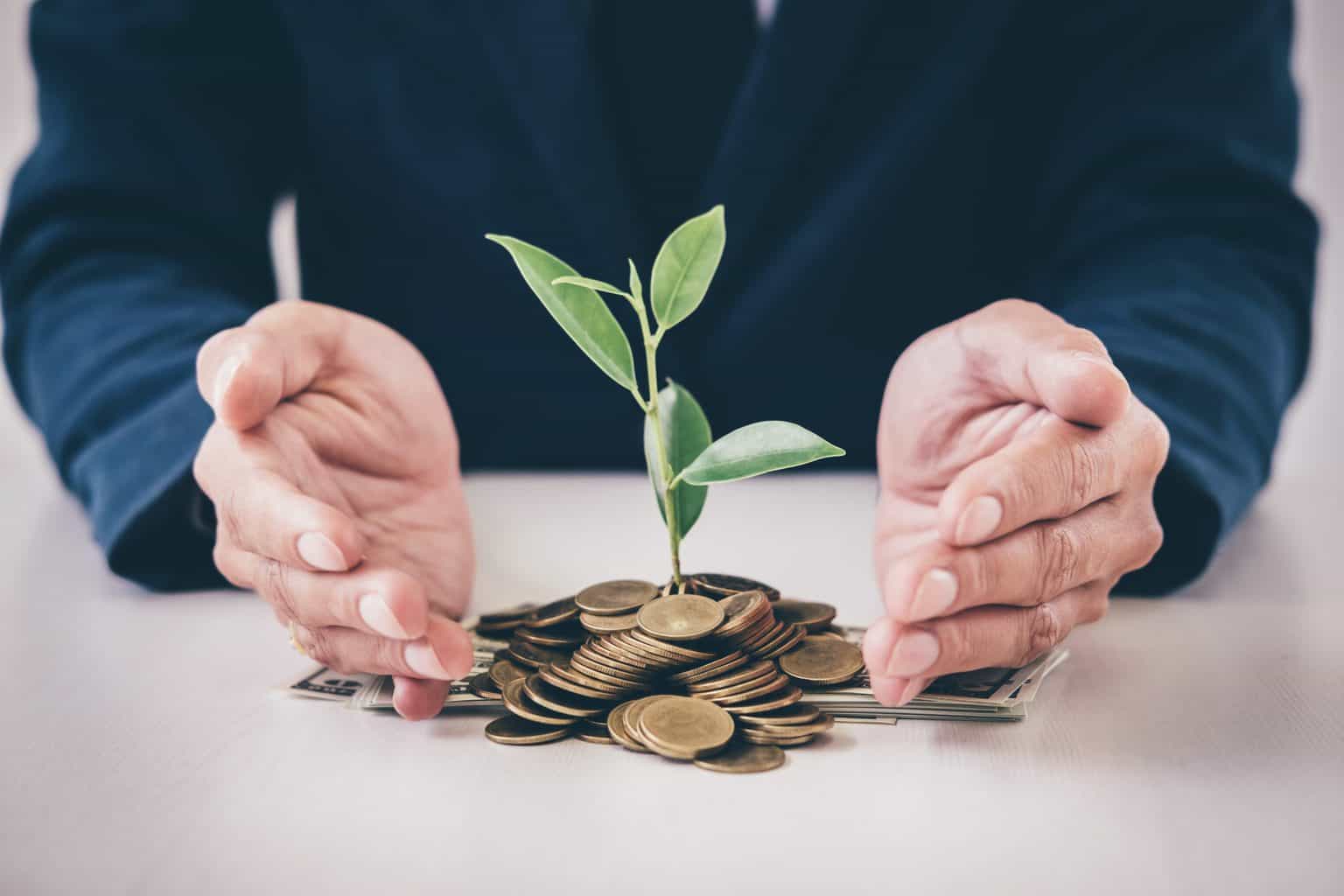 business value plant growing